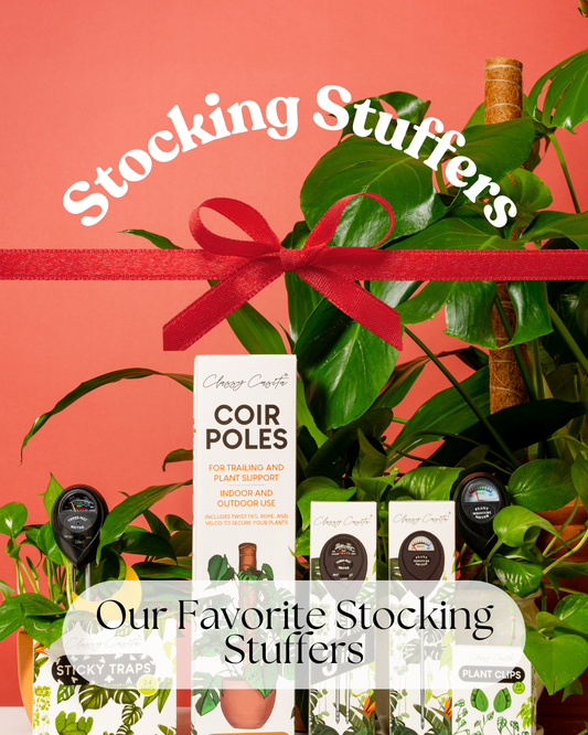 Our Favorite Stocking Stuffers for the Holidays