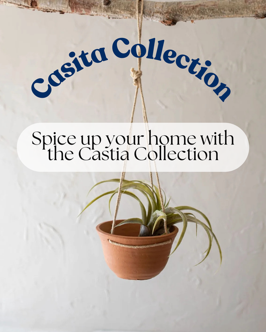 Spice Up Your Home with Our Casita Collection
