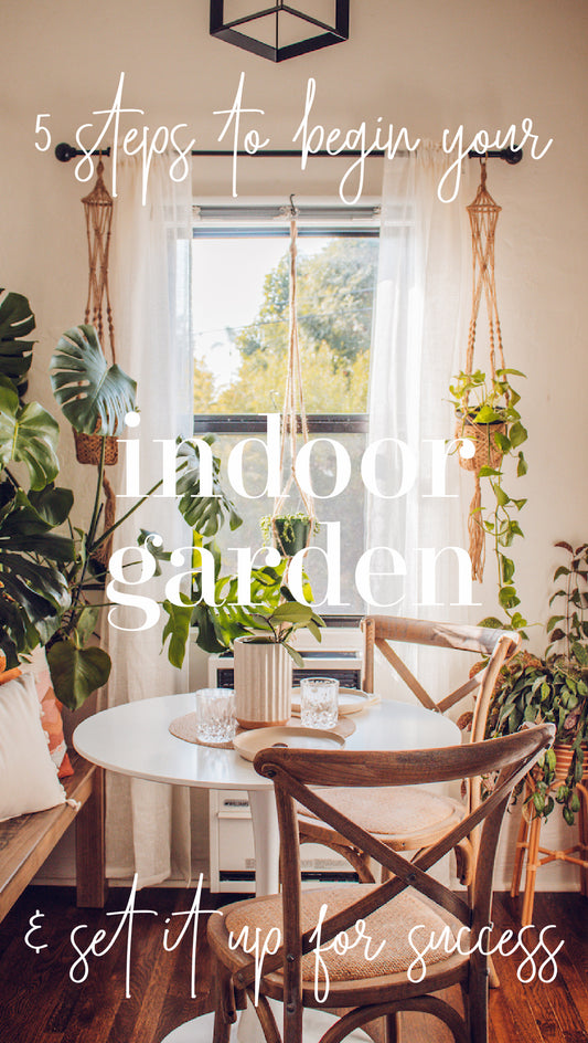 Easy Steps to Begin your Indoor Garden and Set it up for Success