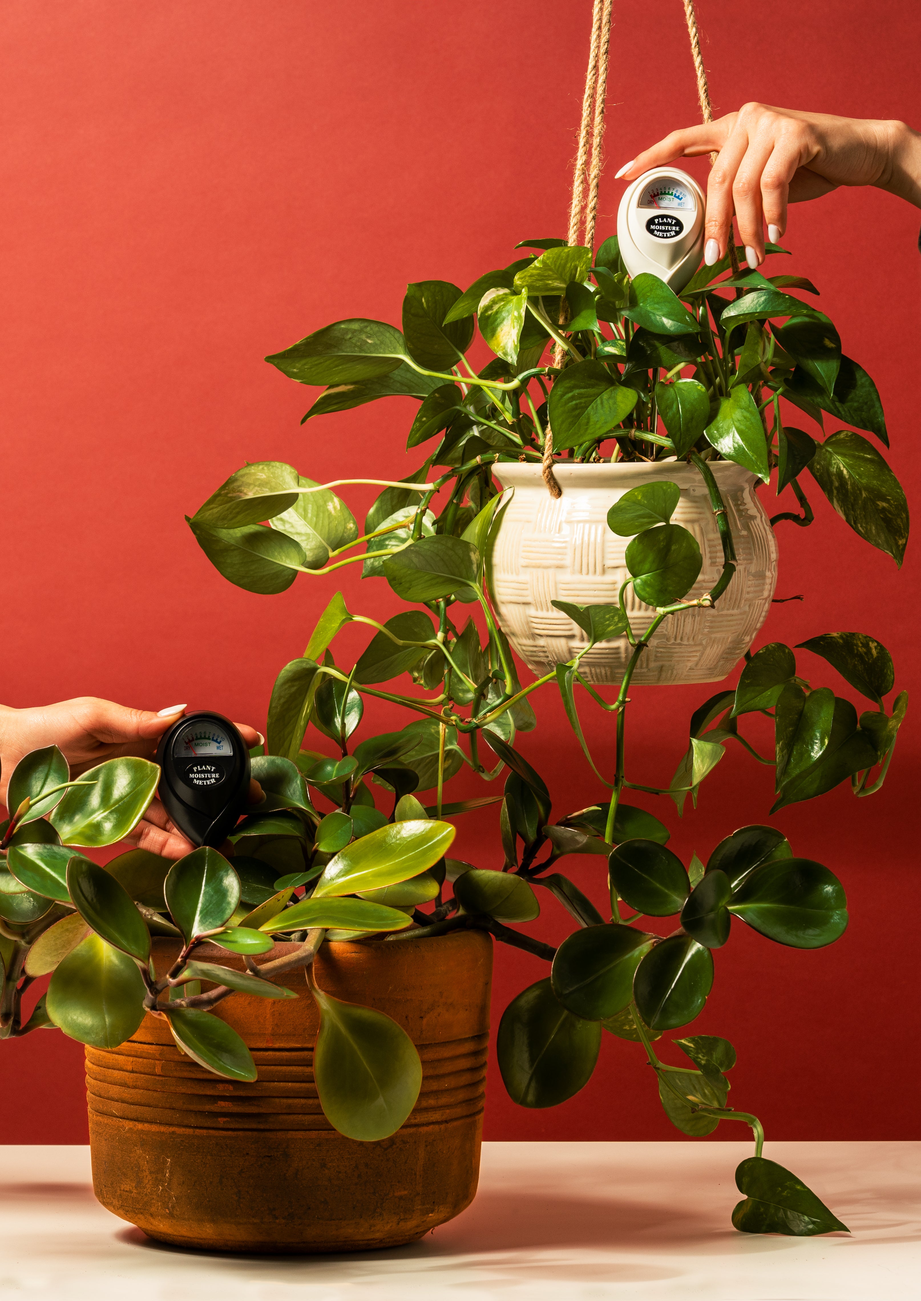 Shop Plant Care Products - Plant Lover Gifts | Classy Casita