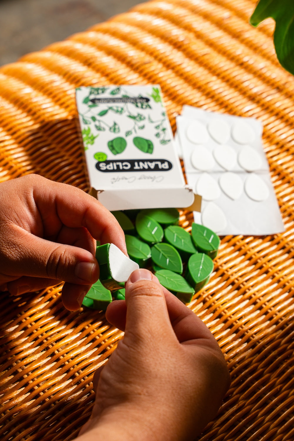 Plant Clips
