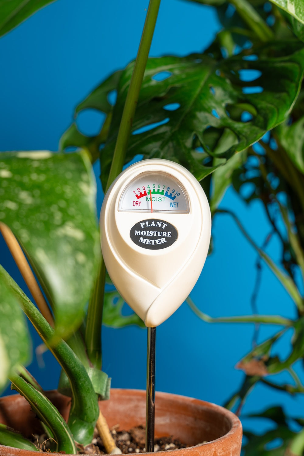 Plant Moisture Meter