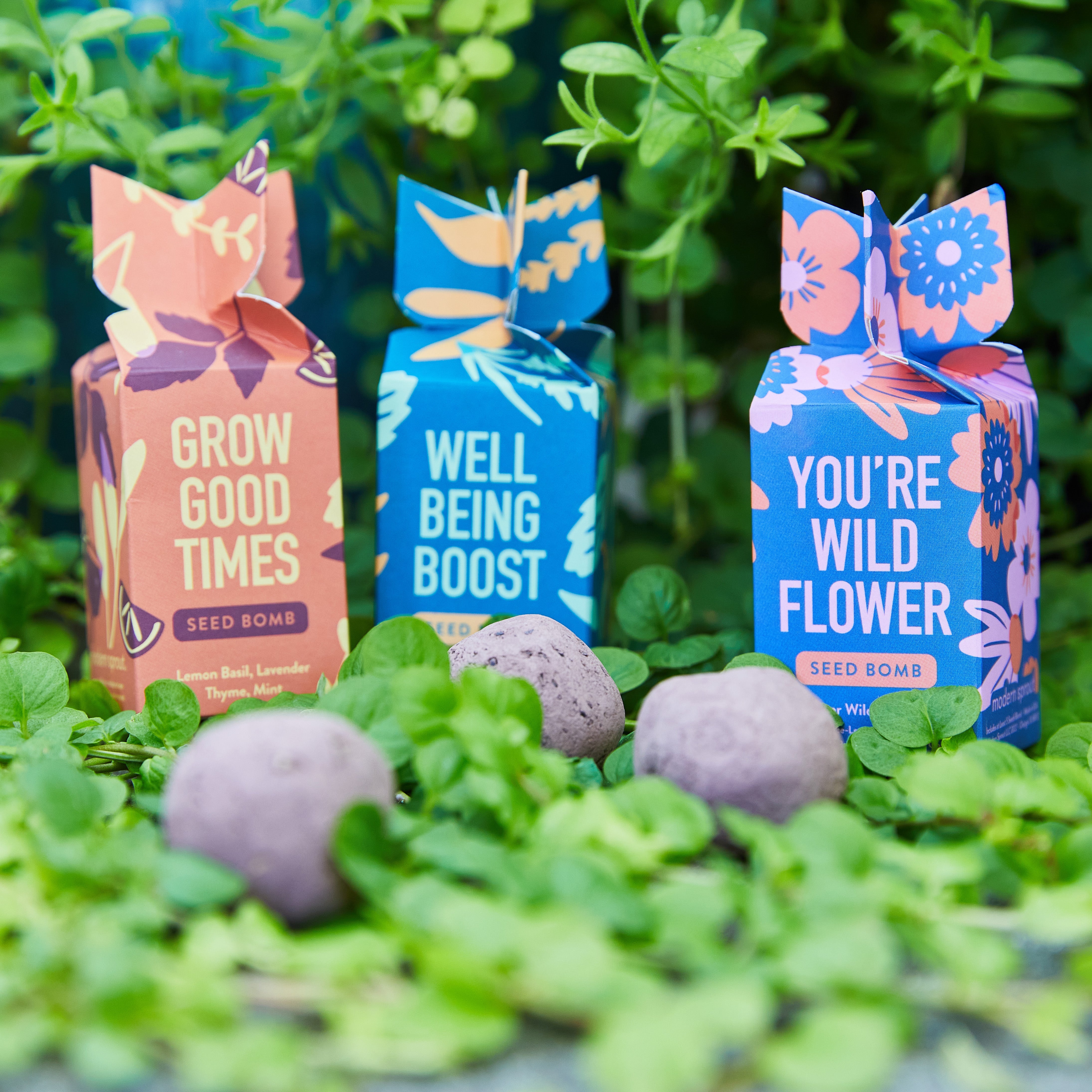 lavender seed bombs Seed Bomb