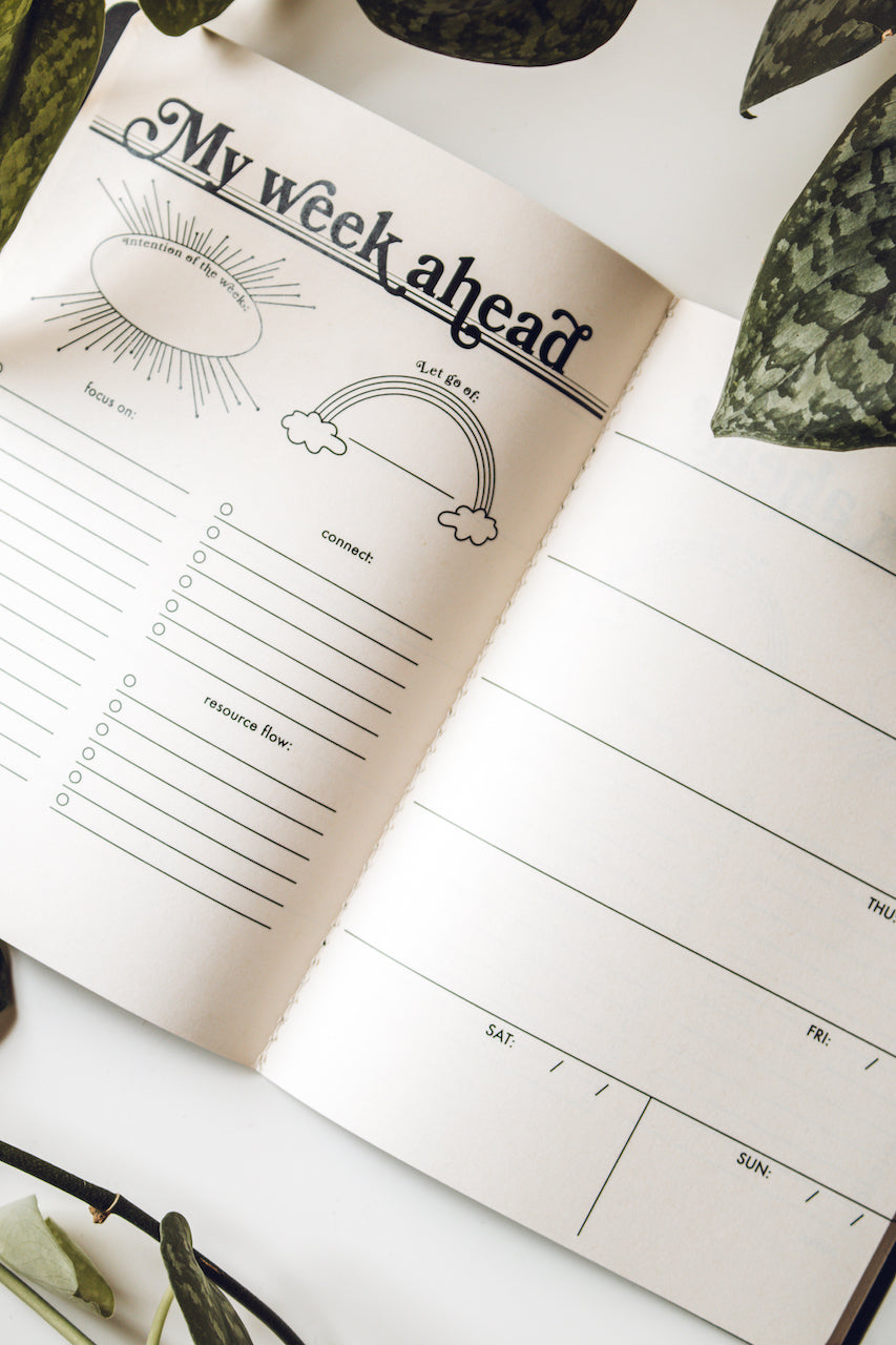 Moon & Sun 6 Month Planner (Terracotta)