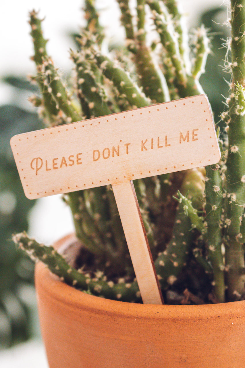 'Please don't kill me' Plant Marker