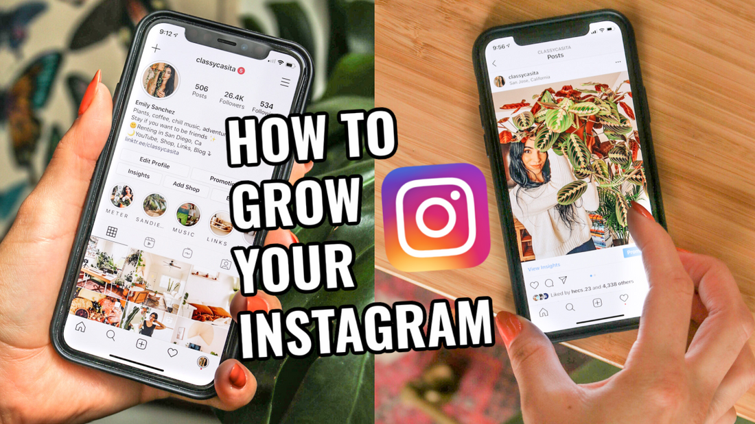 How to Grow your Instagram, Find your Aesthetic, and Start Building your Brand (Personal Blog)