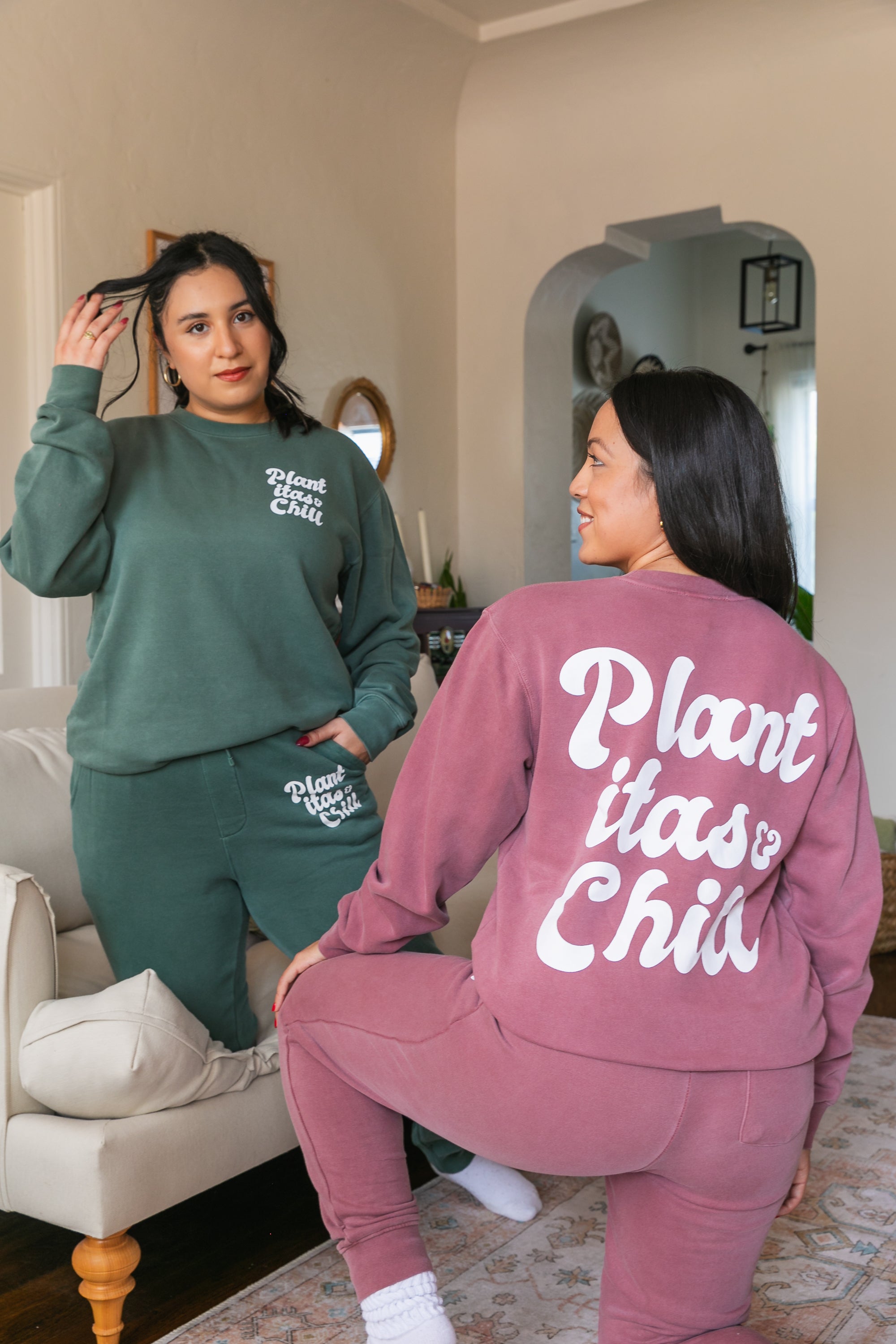 Buy Indoor Plants Accessories - Classy Casita Products