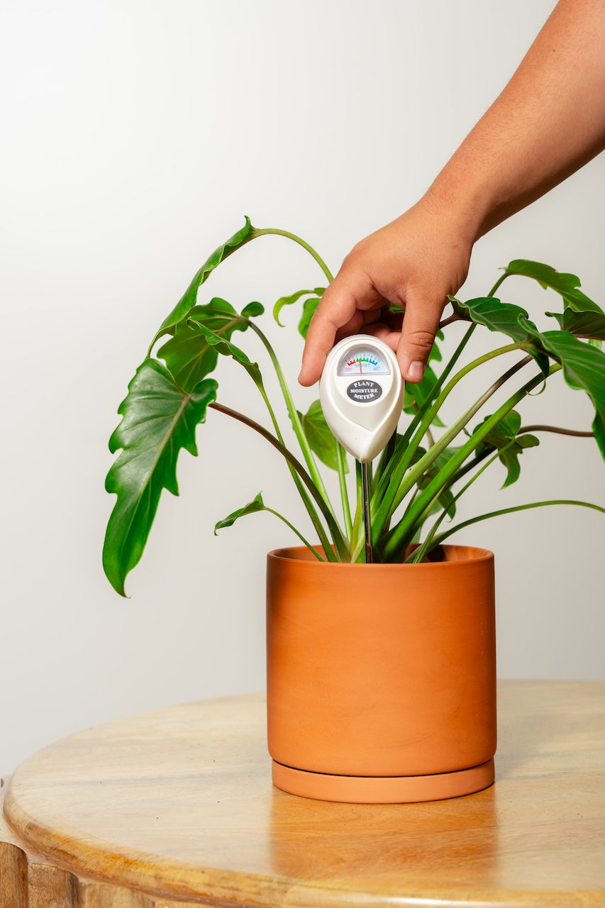 Plant & Garden Care Soil Meter Bundle (White)