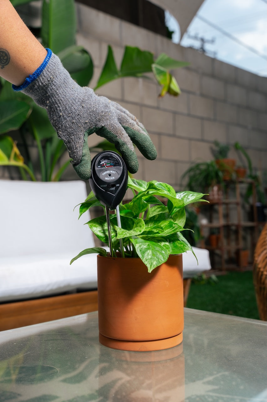 house plant watering service Plant & Garden Care Soil Meter Bundle (Black) – Classy Casita