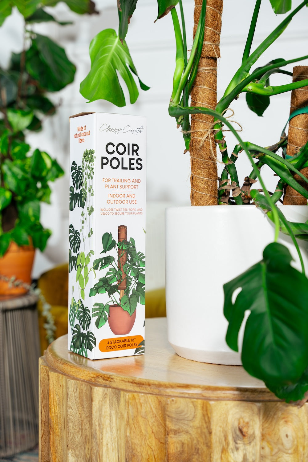 coco coir pole vs moss pole Coir Poles