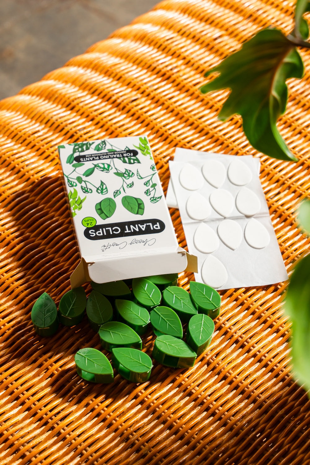 money plant wall clips Shop Home Plant Clips