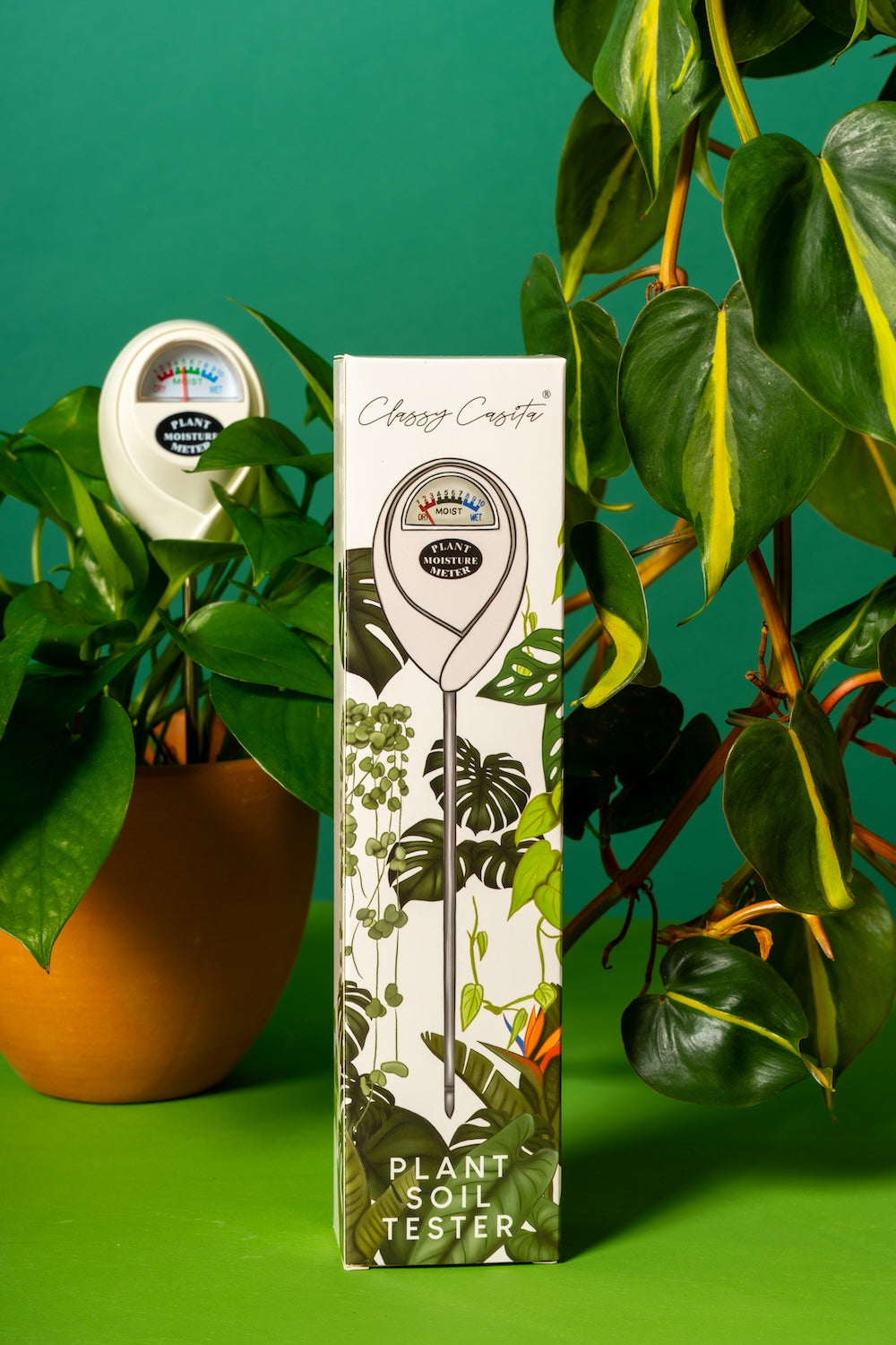 indoor plant watering moisture meter chart for house plants Plant Moisture Meter