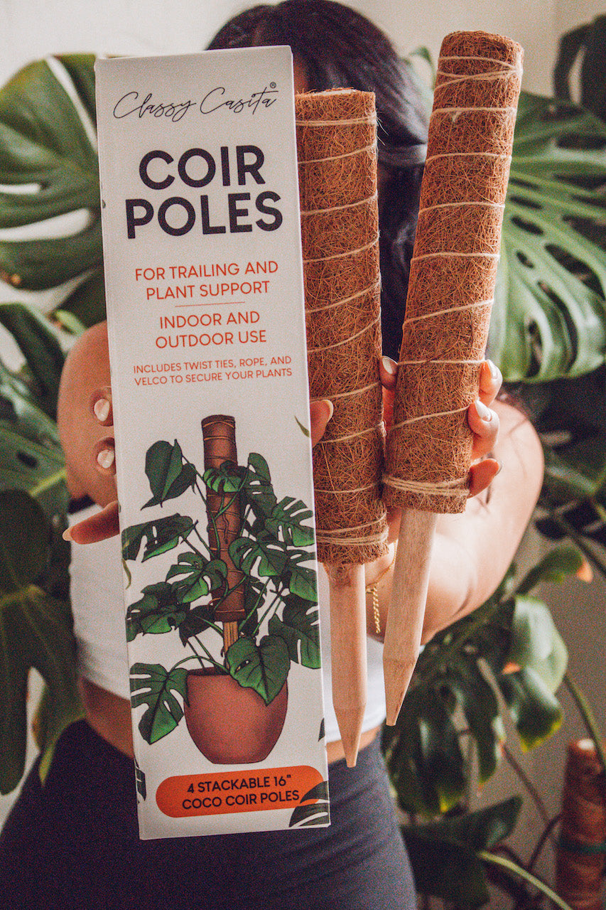 Shop Coco Coir Poles - Support Your Climbing Plants – Classy Casita