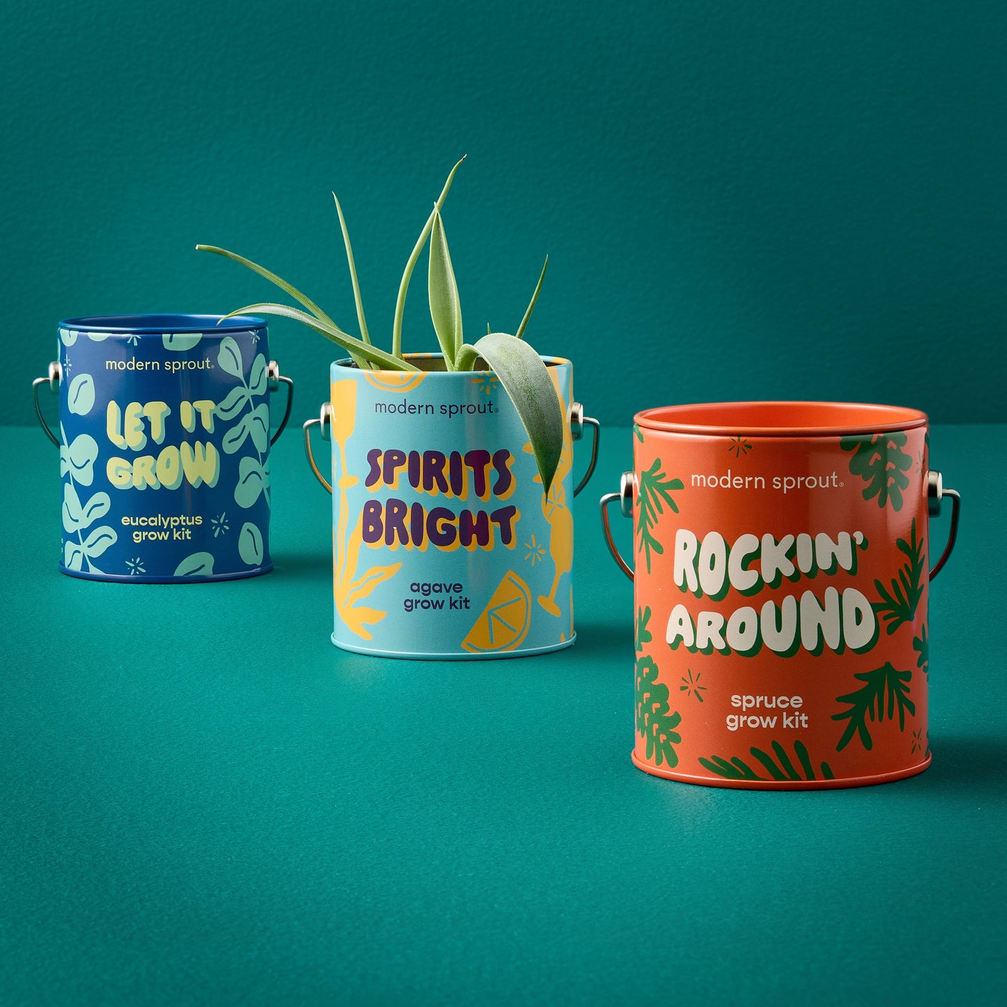 Complimentary Colors Grow Kits