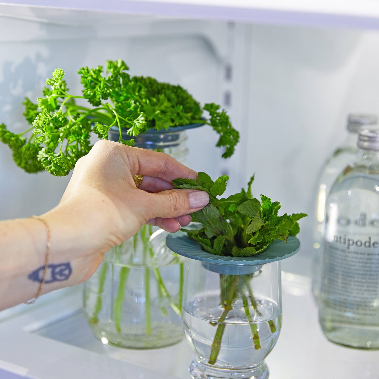 Produce Keepers, 2pk