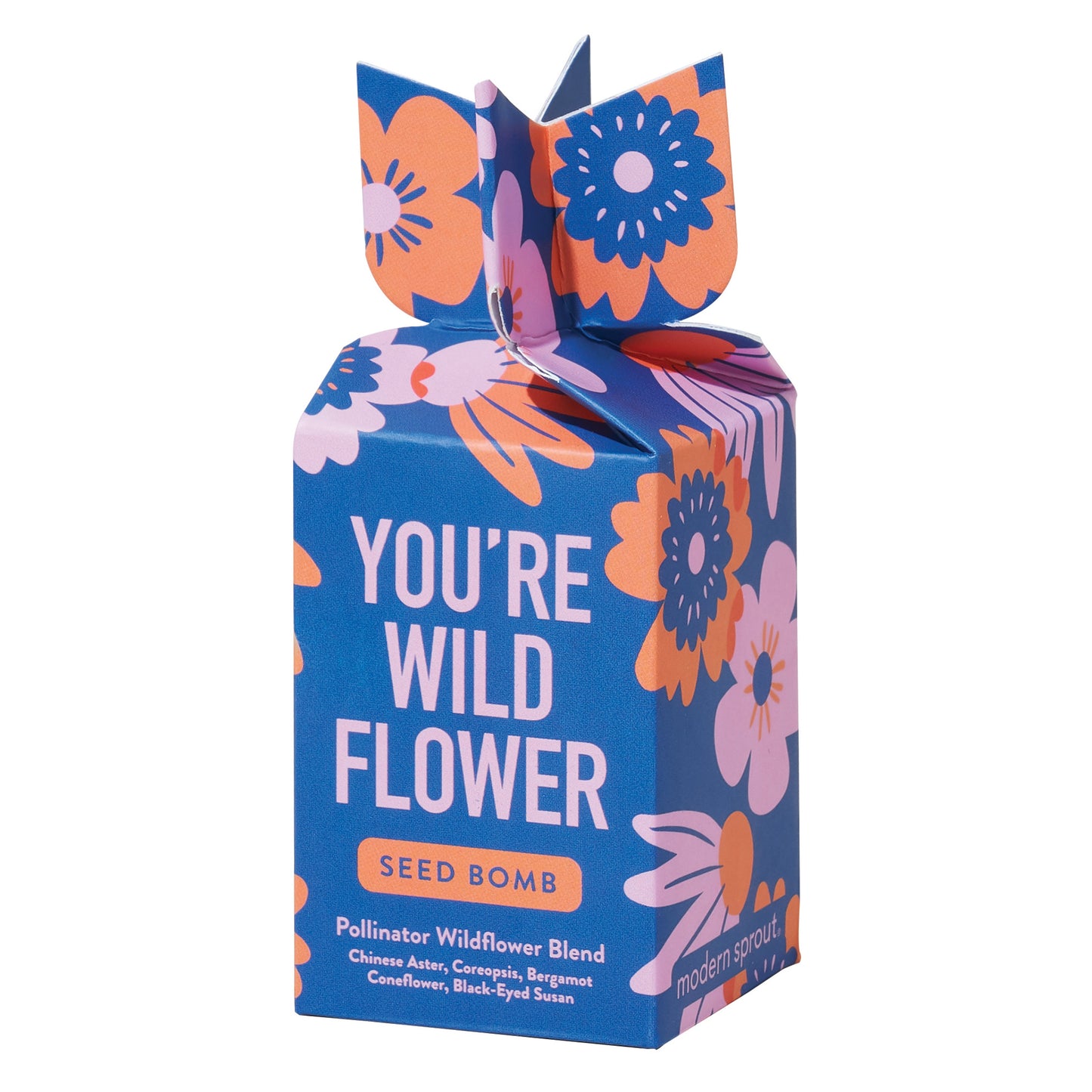 wildflower seed bomb kit Seed Bomb – Classy Casita