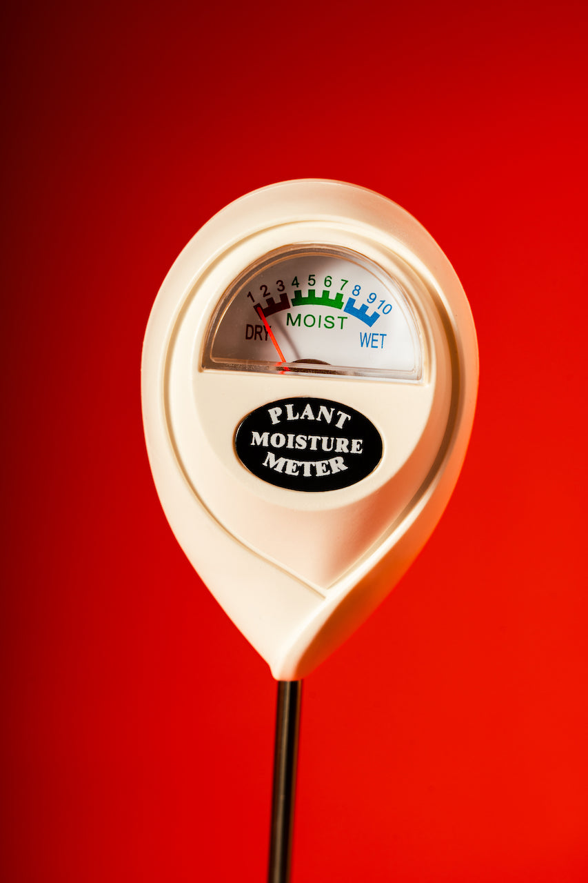 Moisture Meter
