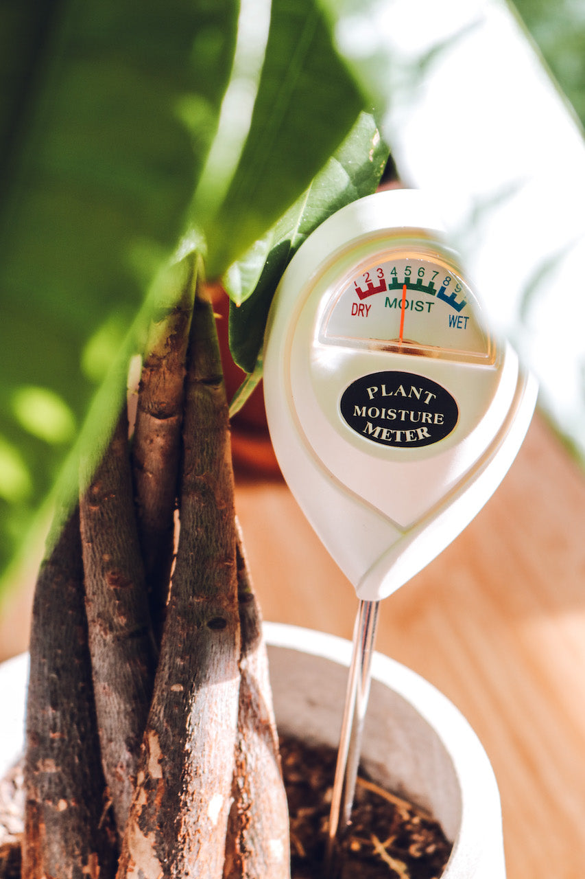 Moisture Meter