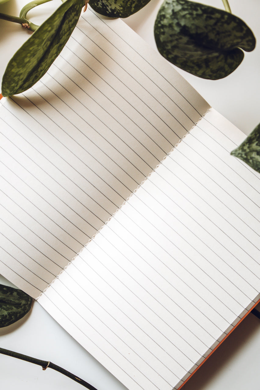 Luna Notebook