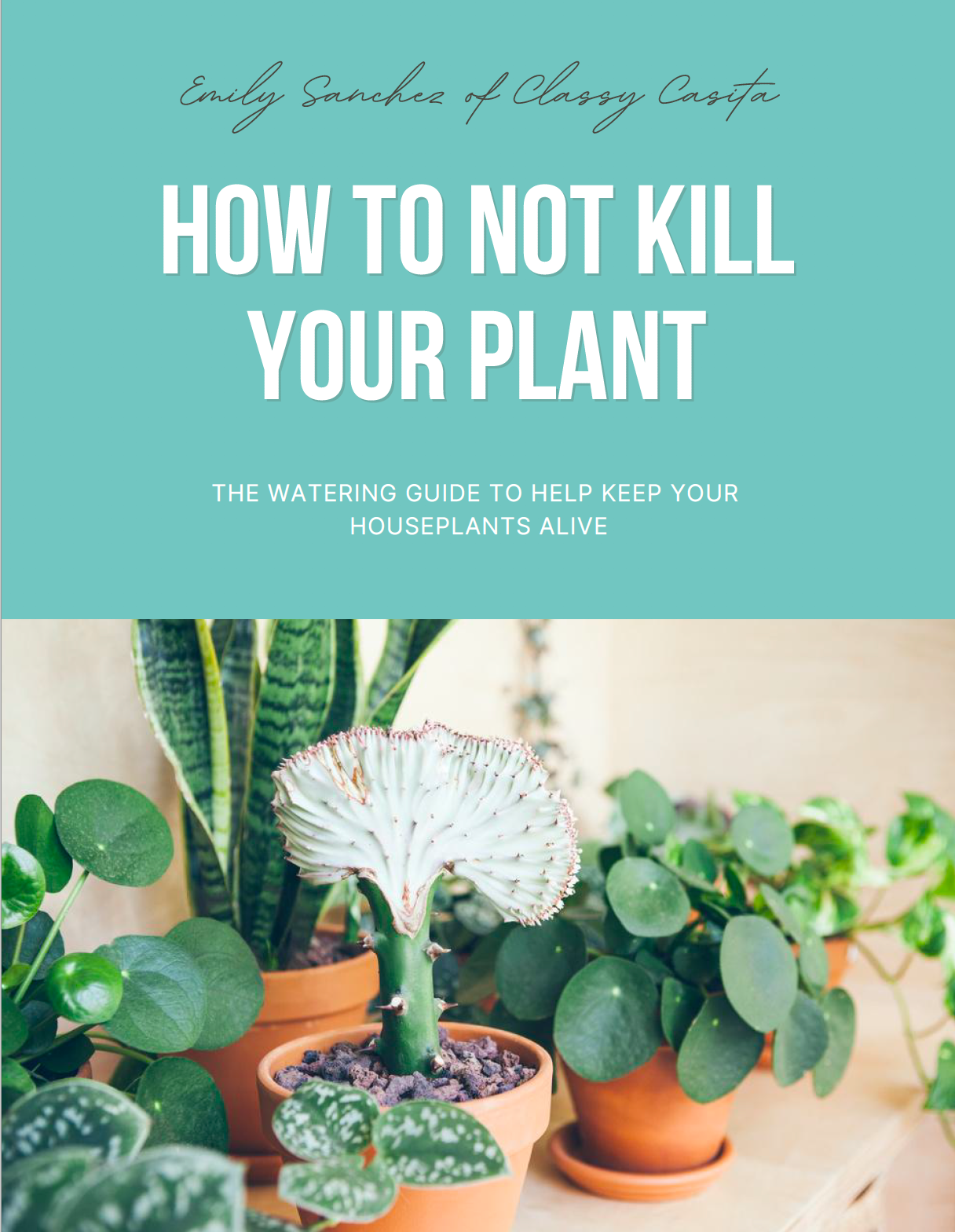 How To Not Kill Your Plant (eBook)