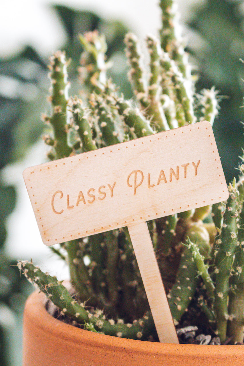 'Classy Planty' Plant Marker