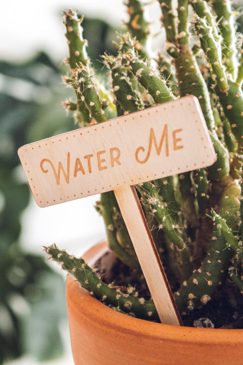 'Water Me' Plant Marker